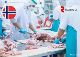 Mėsininkai – išpjaustytojai –darbas Norvegija