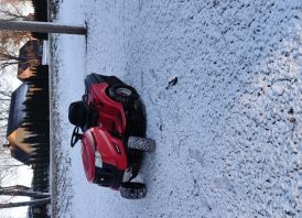 Mtd viking