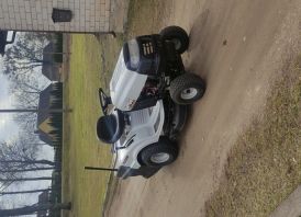 Mtd viking