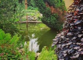 PARDUODAMAS GYVENAMAS NAMAS AUKŠTELKĖJE