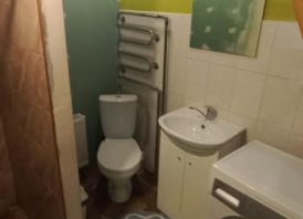 Parduodamas sodo namas šalia miško