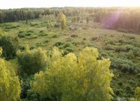 PARDUODAMAS VIENKIEMIS ROKIŠKIO RAJ.