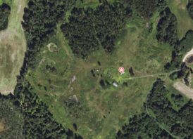 PARDUODAMAS VIENKIEMIS ROKIŠKIO RAJ.