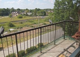 Parduodami du butai su praėjimu vienas į kitą