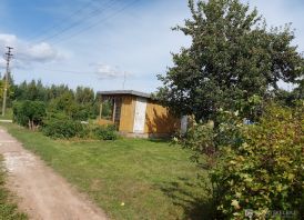 Parduodu kolektyvinį sodą Kurmaičiuose