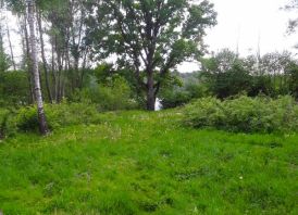 Parduodu rekreacinį  sklypą su pakrante