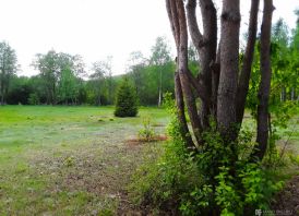 Parduodu rekreacinį  sklypą su pakrante