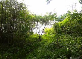 Parduodu rekreacinį  sklypą su pakrante