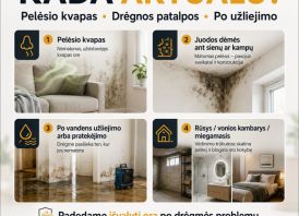 Pelėsio sporų šalinimas ore | HEPA + UV + Ozonas