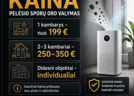 Pelėsio sporų šalinimas ore | HEPA + UV + Ozonas