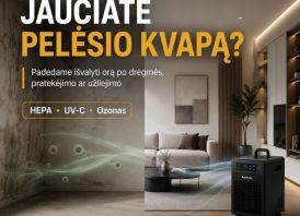 Pelėsio sporų šalinimas ore | HEPA + UV + Ozonas