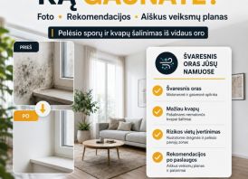 Pelėsio sporų šalinimas ore | HEPA + UV + Ozonas