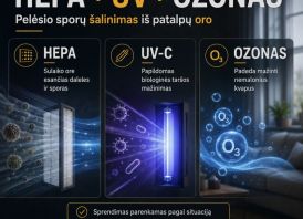 Pelėsio sporų šalinimas ore | HEPA + UV + Ozonas