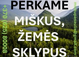 PERKAME MIŠKUS, ŽEMĖS SKLYPUS