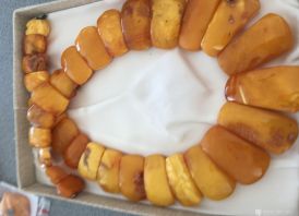 PERKU GINTARA