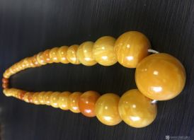 PERKU GINTARA