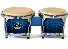 Petcusion Bongos SONOR chempion