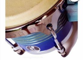 Petcusion Bongos SONOR chempion