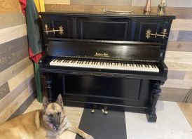 Pianinas brodrene halz