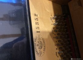 Pianinas brodrene halz