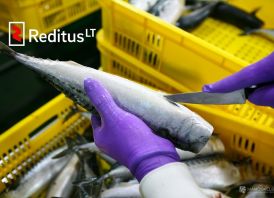Produkcijos darbuotojai (žuvies fabrikas) – d