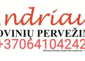 Senų Baldų Išvežimas Šiauliai 064104242