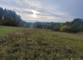 sklypas Varenos r. Kucakiemio k.