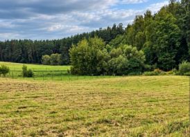 SKUBIAI. parduodamas 50a su leidimu statybai