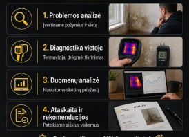 Stogų ir fasadų nuotėkių diagnostika