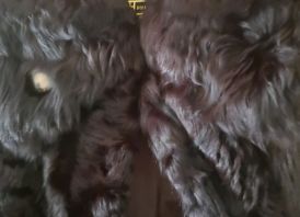 Tikro kailio kailiniai, paltas