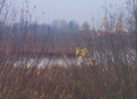 Varėnos r. sav., Tetervinės k., žemės ūkio pa