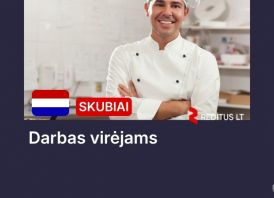 Virėjas – darbas olandijoje (2112)