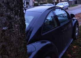vw beetle