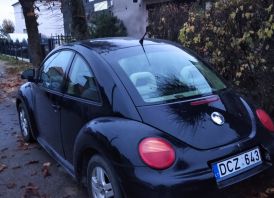 vw beetle