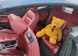 VW EOS R-line 