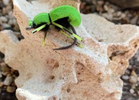 Zigbug karpiams