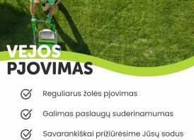 Žolės, vejos pjovimas