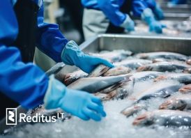 Žuvies fabriko darbuotojai  – darbas Norvegij